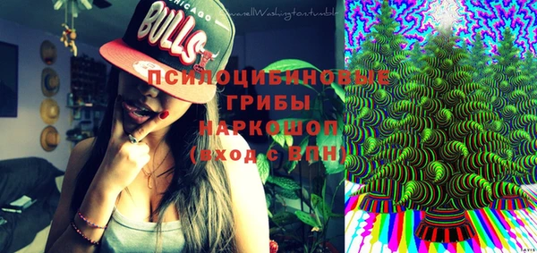 ешки Бугульма