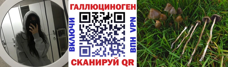 Купить закладки Володарск Псилоцибиновые грибы прущие грибы